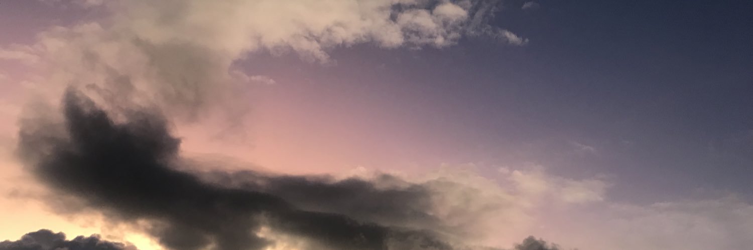 Monaperonolisa's profile banner image
