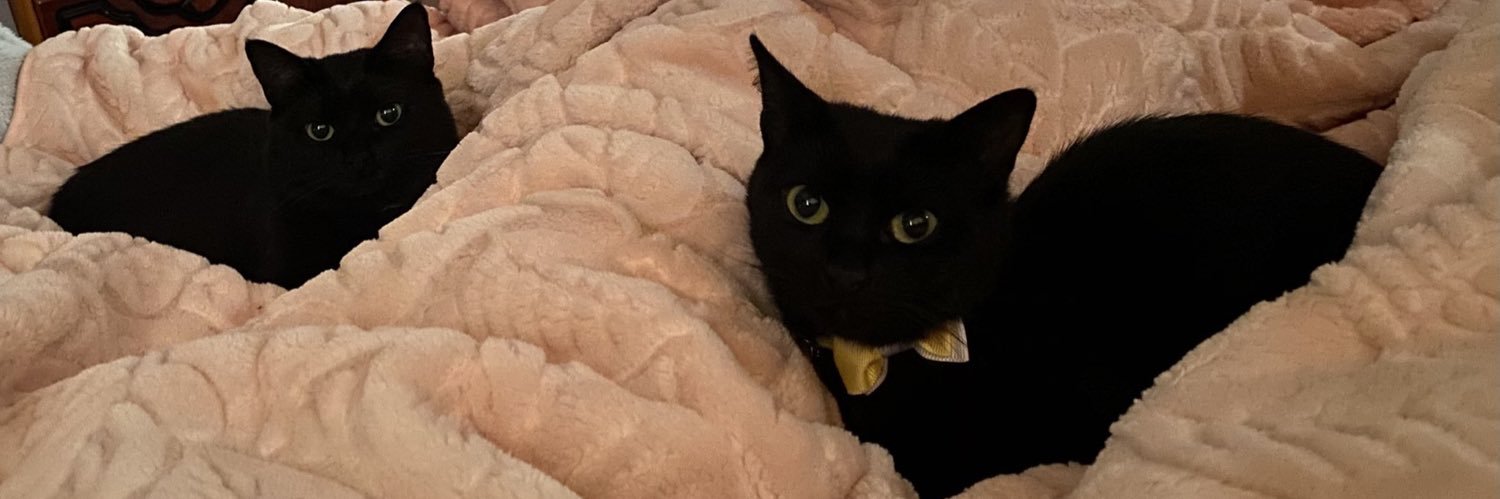 Çita Topalgöbüş / Zeytin The Dabbenur banner