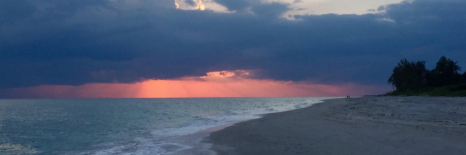 Holly Burgess banner