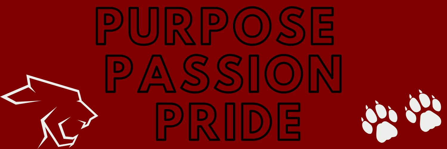 Cinco Ranch High School banner