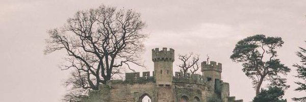 mocking_point Profile Banner