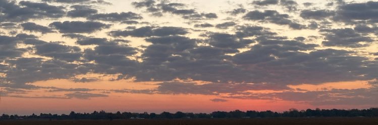 Ash.Nicole.2 banner