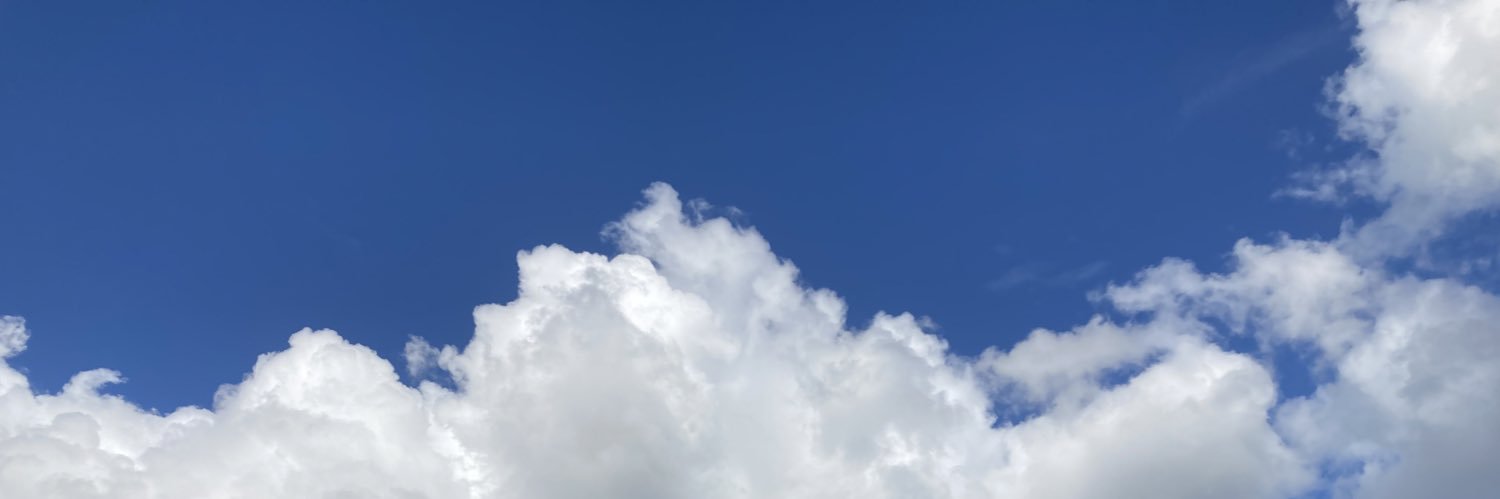 pollux_295_'s profile banner image