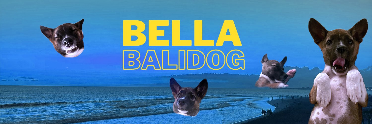 BellaBalidogNFT's profile banner image