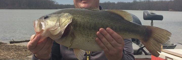 TheBassStalker's profile banner image