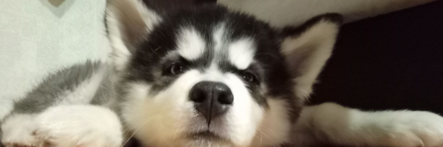 _dfxralc_'s profile banner image