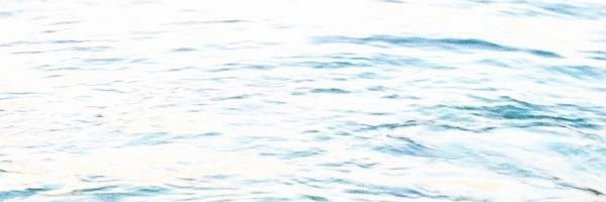 coincapnotify's profile banner image
