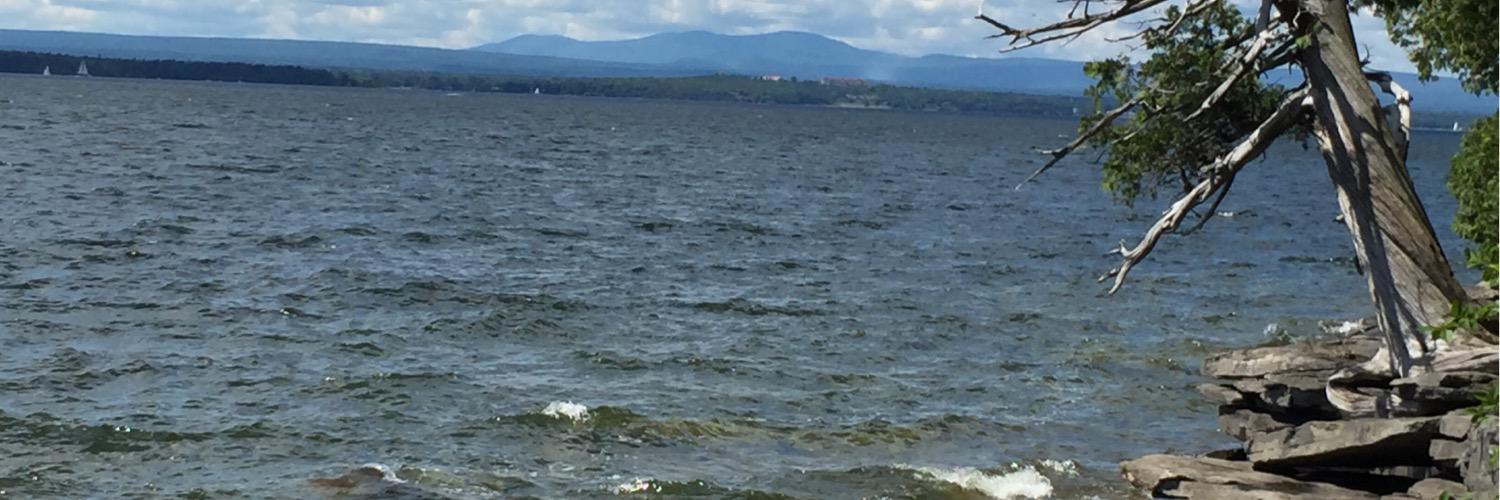 Greg Lenti, Northern Cyclones banner