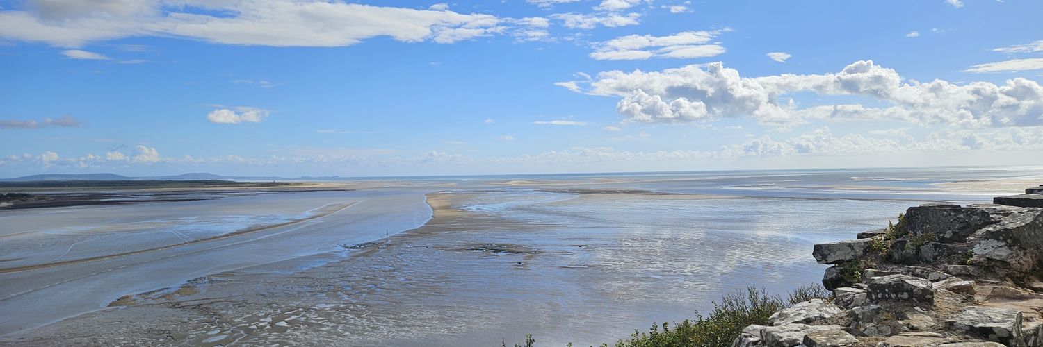 Dr. Farbod MBBCh FRCEM banner