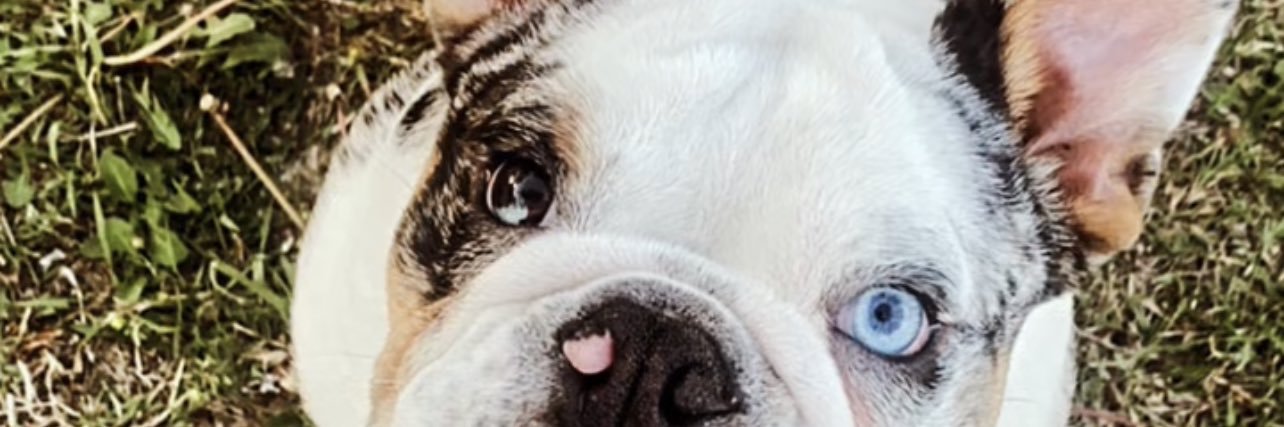 Jloya22's profile banner image