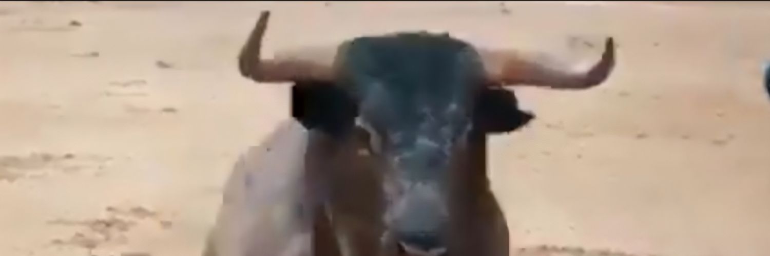 MarioEduardoNavarro banner