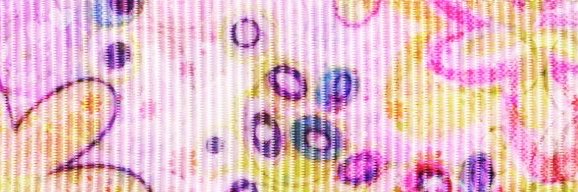 egg 🍮🥄's banner