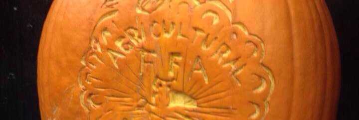 One Less Thing.net banner