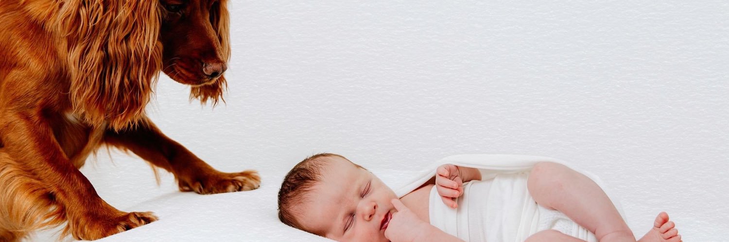 Ryan James Beckly banner