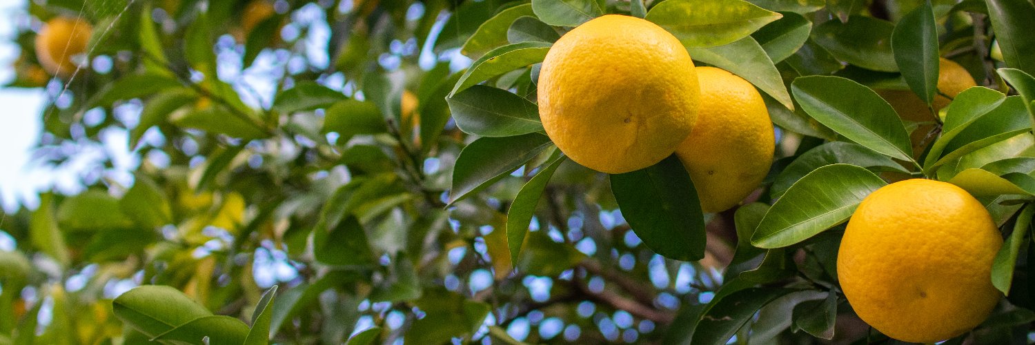 じゅぴてる・ゆーのす banner