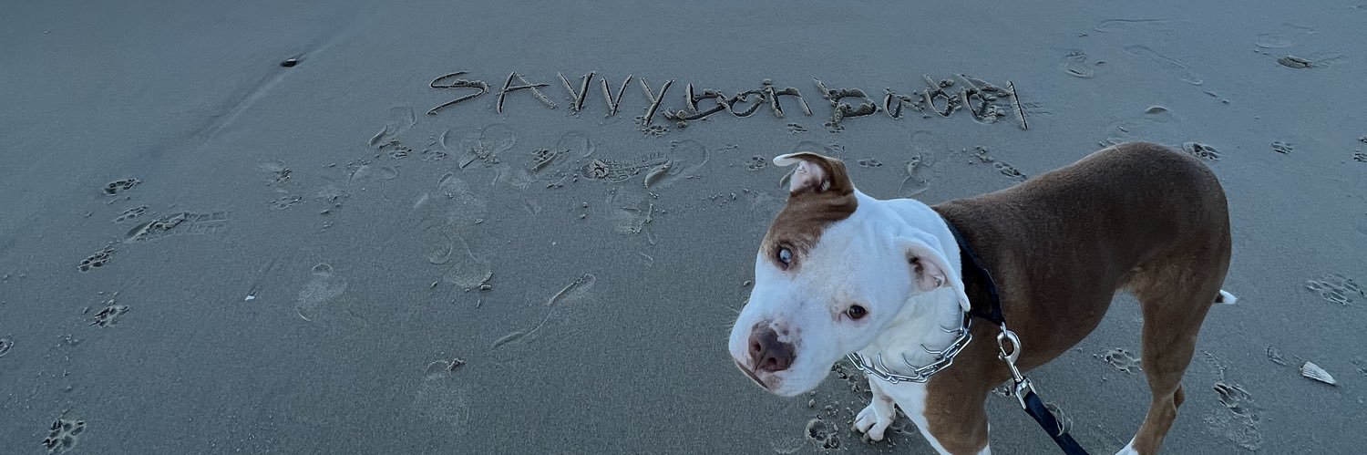 Sav 🦂's banner