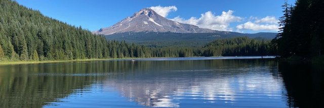 Heidi Billittier banner