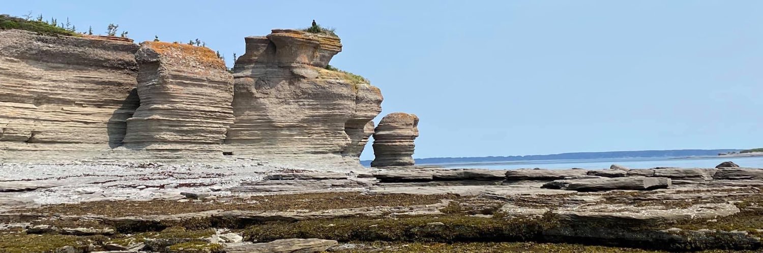 David Cormier banner