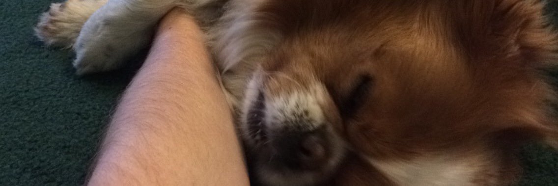 MitchF_C_'s profile banner image