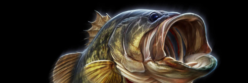 Patrick Payne banner