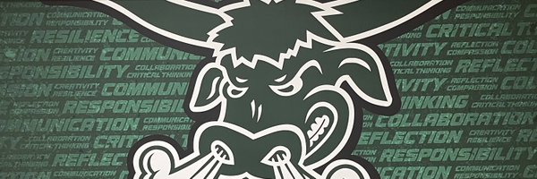 WFPackersAD Profile Banner