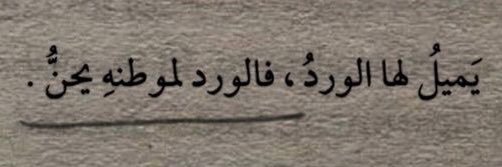 NadaAlsaqaan's profile banner image