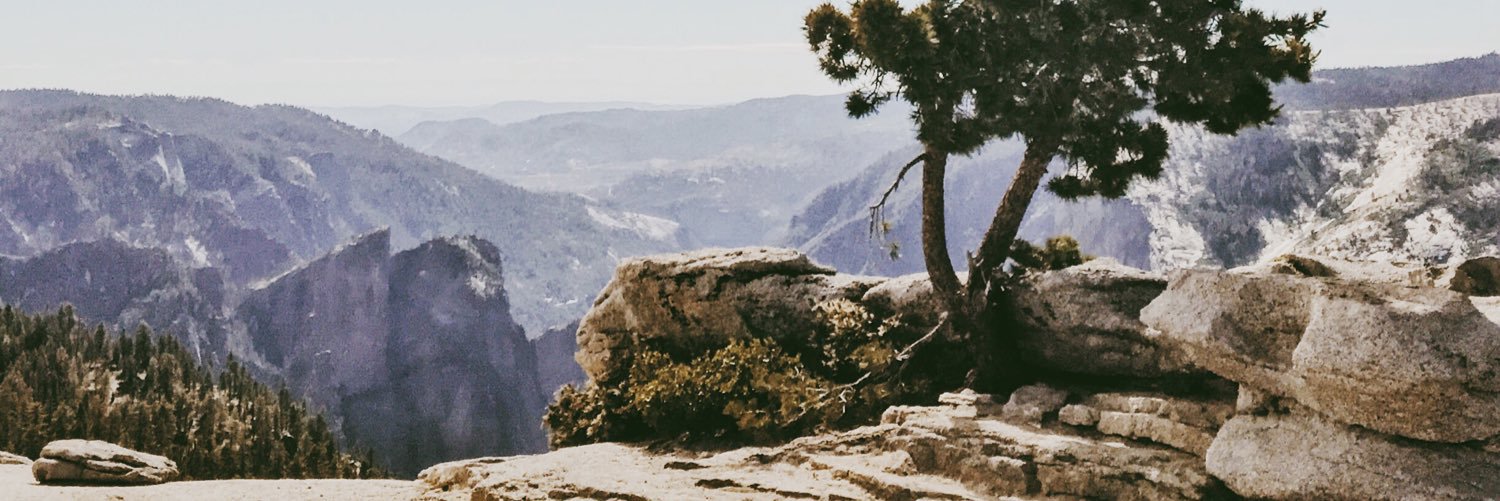 definitelikaren's profile banner image