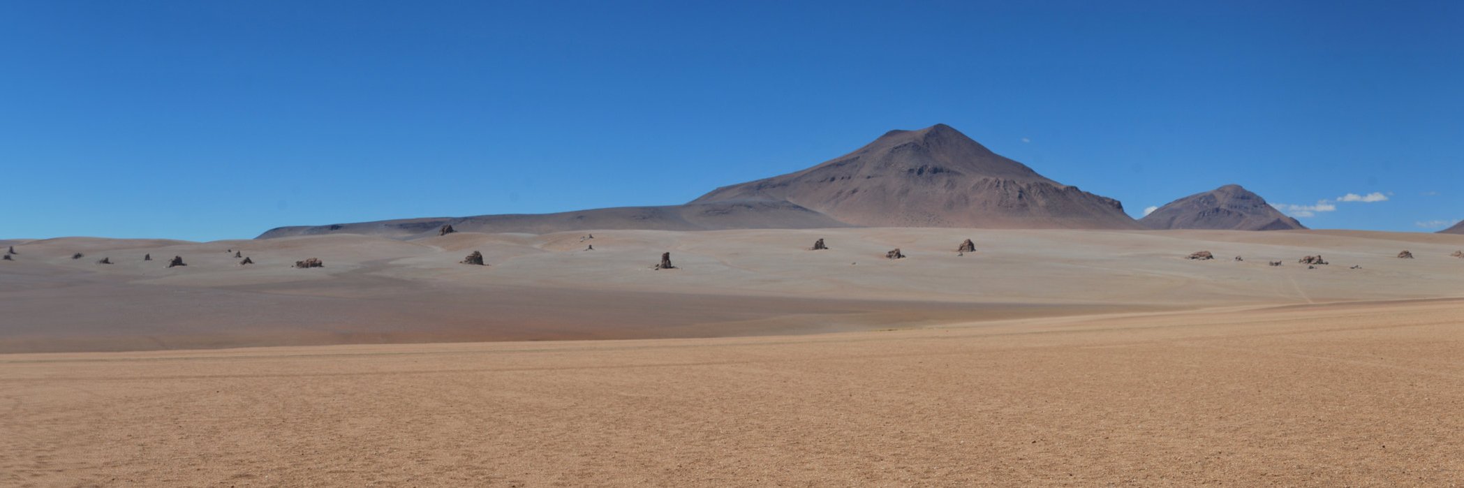 Patrick Davey @patrick@psdavey.com banner