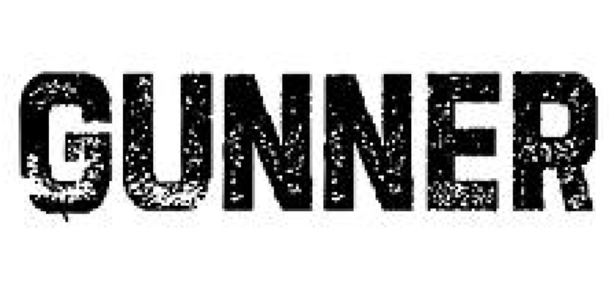 gunnerfuelberth's profile banner image