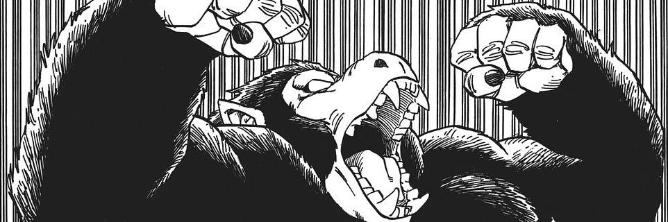 Skull777 banner