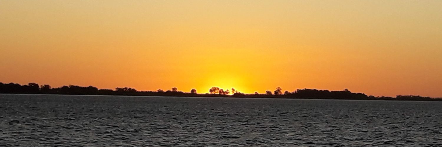 ernesalon's profile banner image