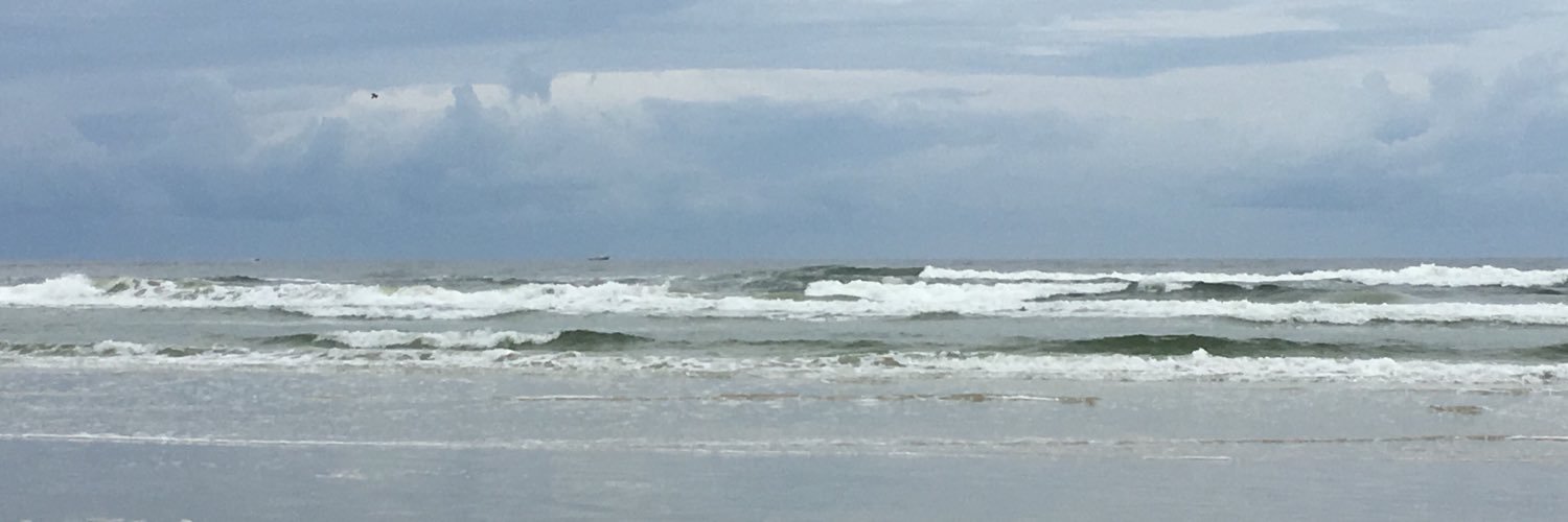 Jeanne Wright, NBCT banner