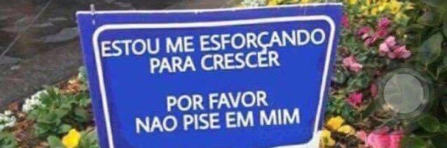 iofadinha's profile banner image