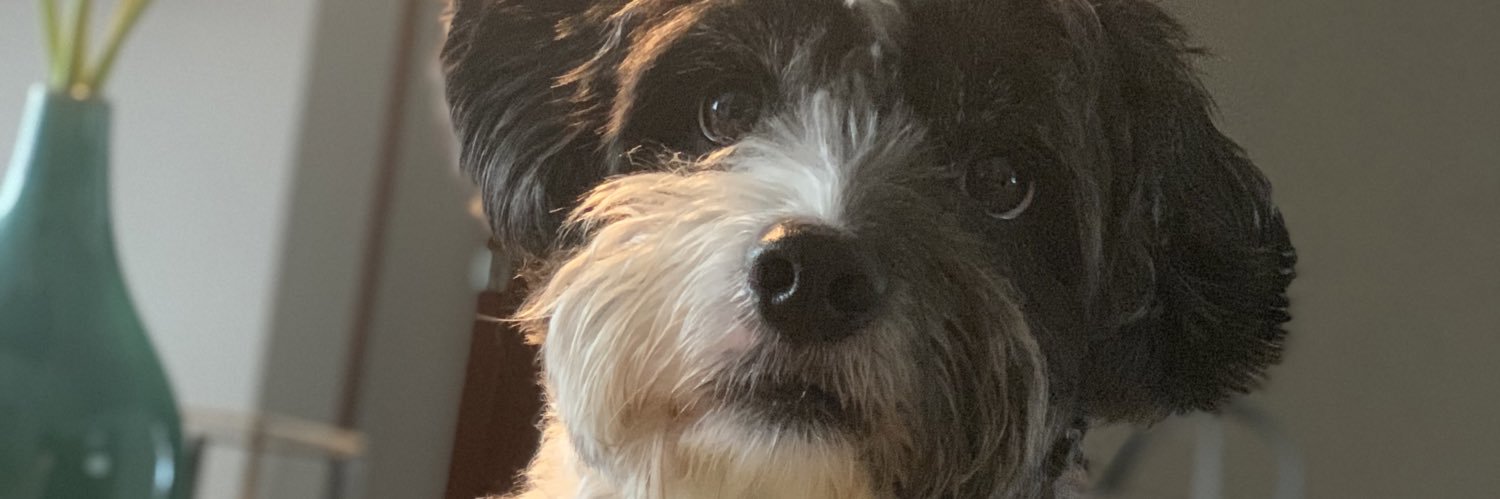 emylizabeth20's profile banner image