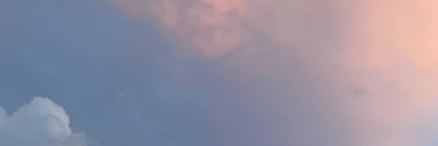 🐈 ☘︎ ໒꒱🌳 banner