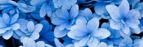 xienismee's profile banner image