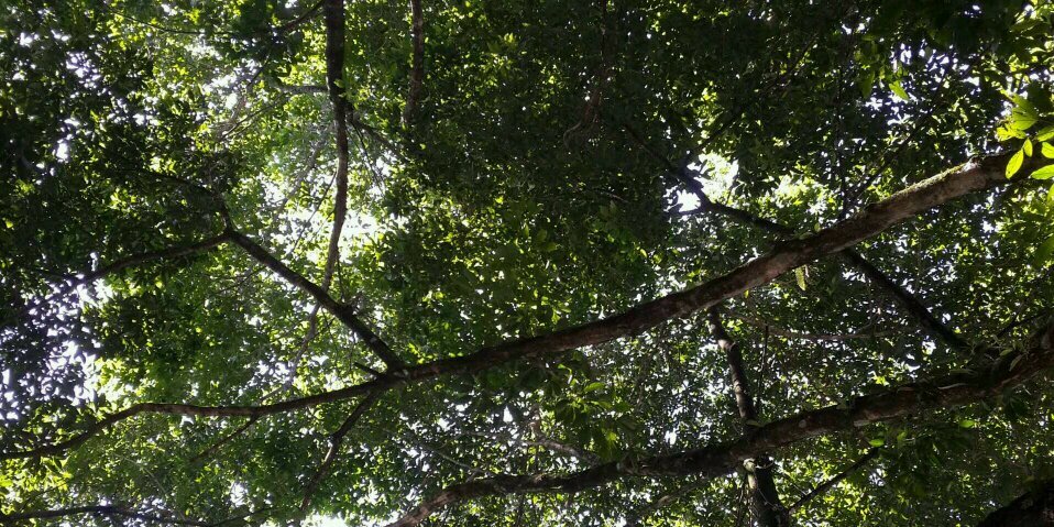 camiloromerocr2's profile banner image