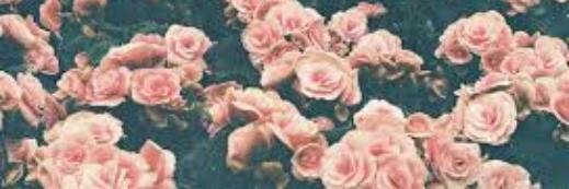 Nisaafitrii's profile banner image