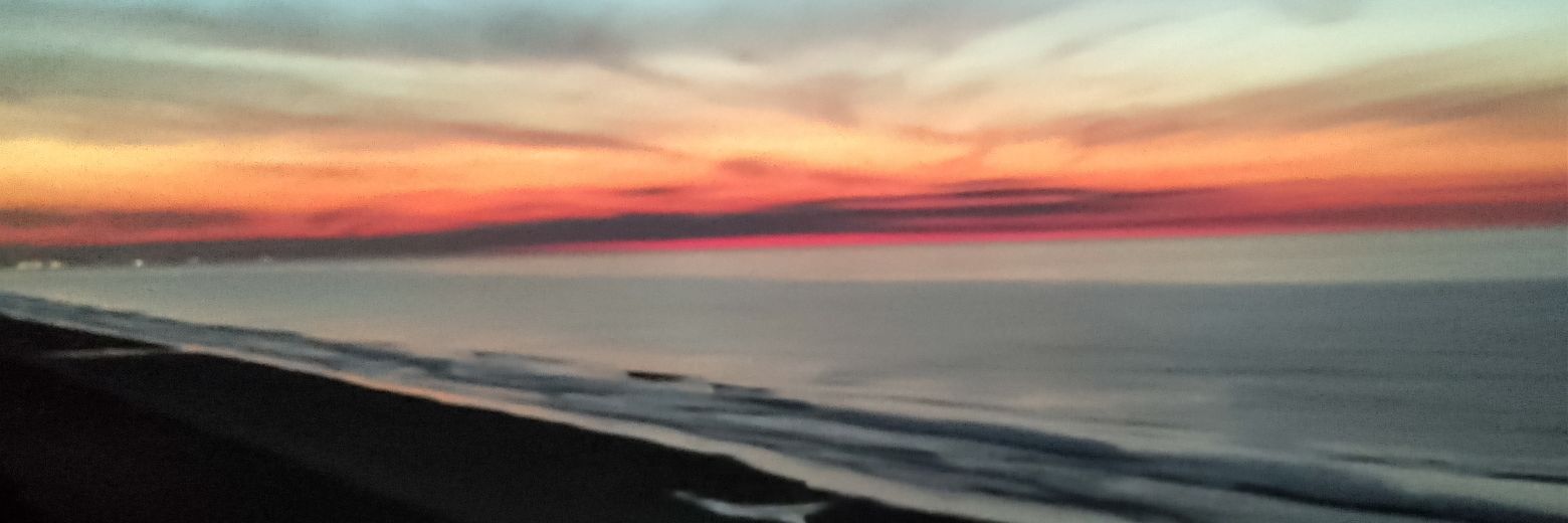 Marcia5167's profile banner image