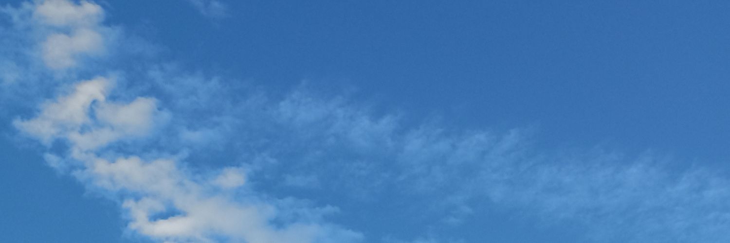 MariaInesAlesi's profile banner image