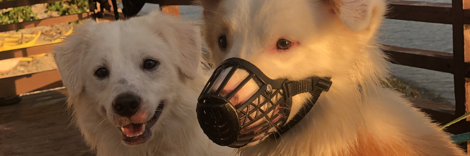 Ivananacue's profile banner image