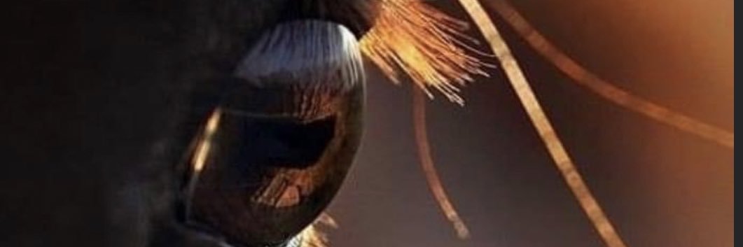 HodhoMayar's profile banner image
