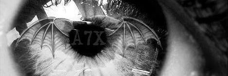 Nick banner
