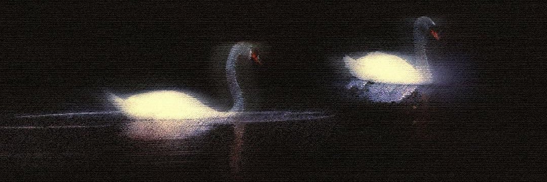 jamieclutterbk's profile banner image