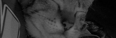 KN201's profile banner image