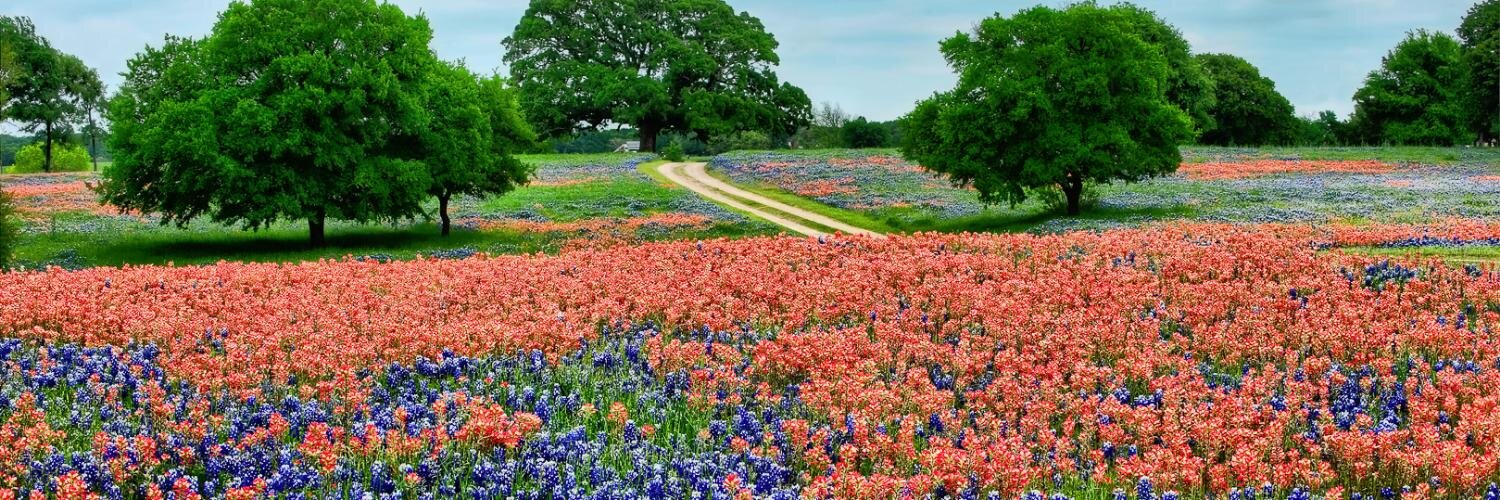 The Bluest Eyes in Texas 🌵 banner