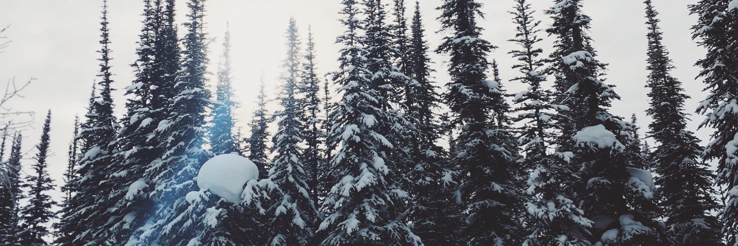 espiegelmann's profile banner image