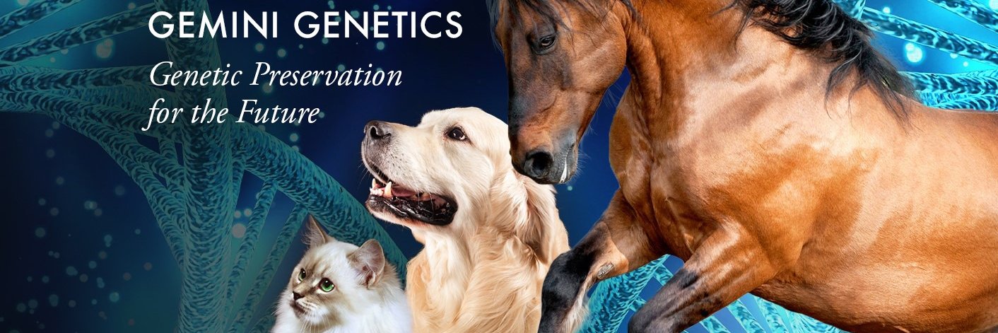 GeneticsGemini's profile banner image