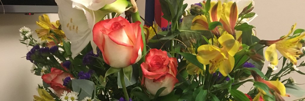 BeverleyLaubert's profile banner image