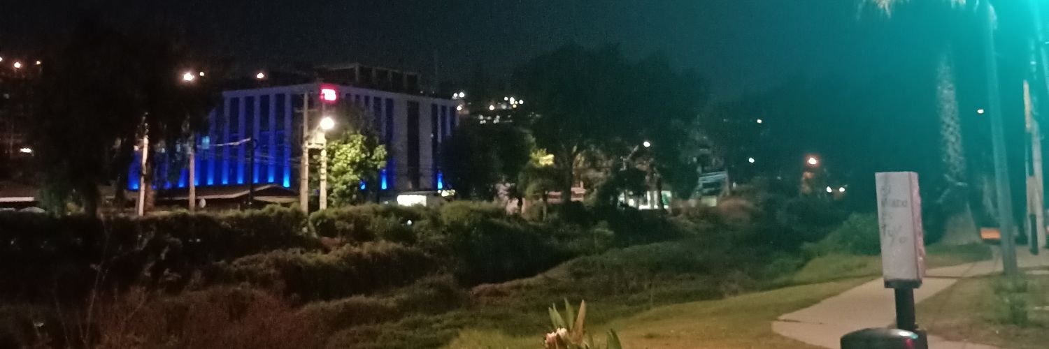 Camiramireztoro's profile banner image